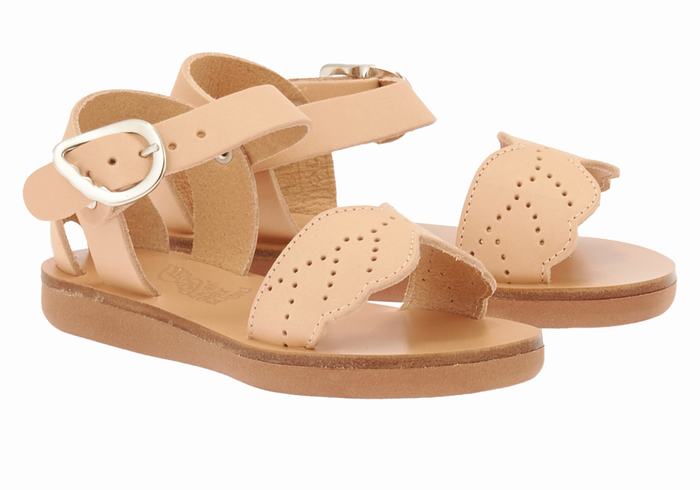 Sandales Casual Ancient Greek Sandals Little Andromeda Soft   | LCE-3915748